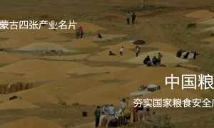 资源优势如何变成品牌优势？设计正在重塑内蒙古农畜产品价值