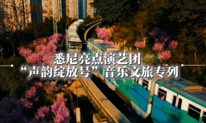 “声韵绽放”悉尼亮点音乐文旅项目主题研讨会圆满举行